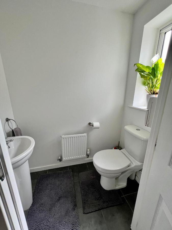 North Colchester Homestay Mile End Exteriör bild